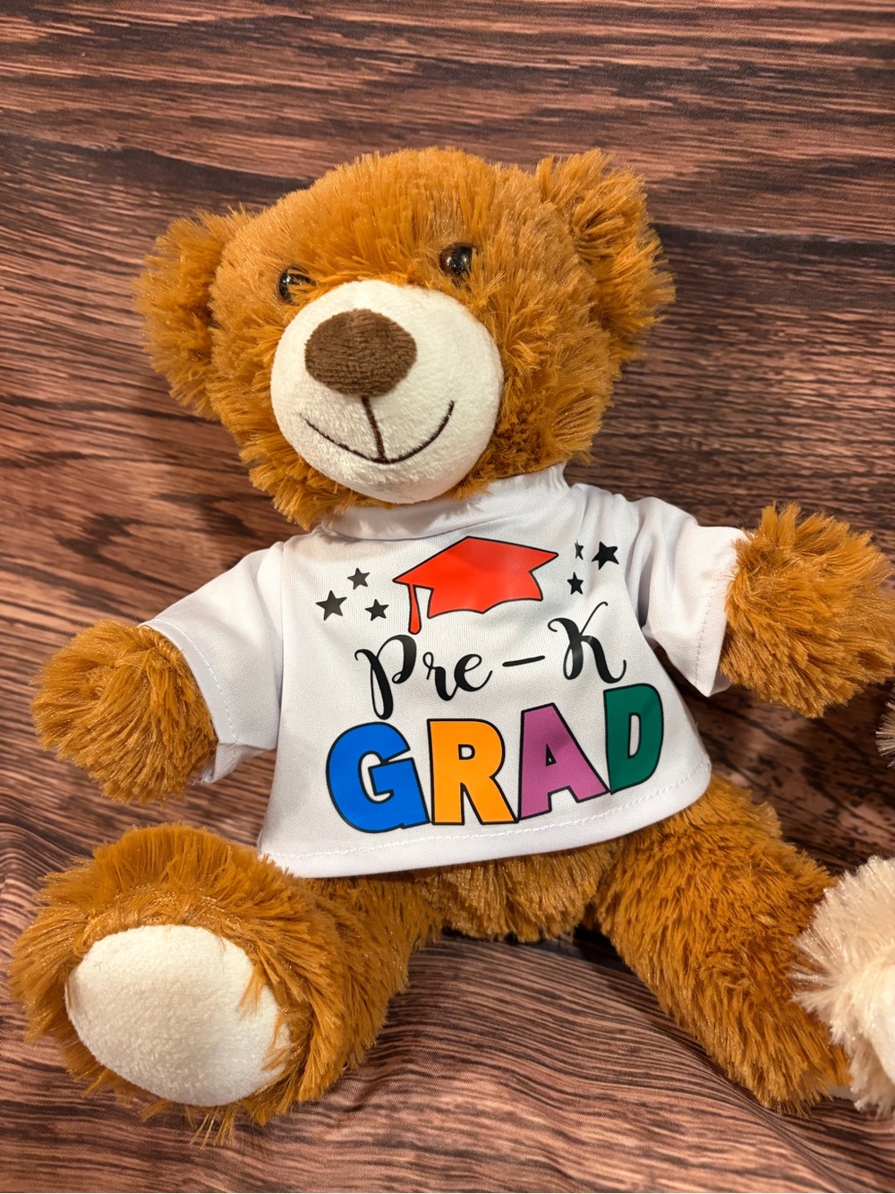 Pre-K Grad Teddy Bear Plush with Colorful Shirt